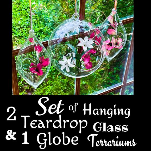 ⭐️HP⭐️Set of 2 Teardrop & 1 Globe Hanging Glass Terrariums - Picture 1 of 9